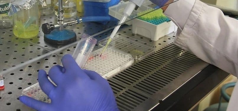 أستراليا تسجل أول حالة وفاة منذ 3 سنوات بسبب فيروس التهاب الدماغ الياباني