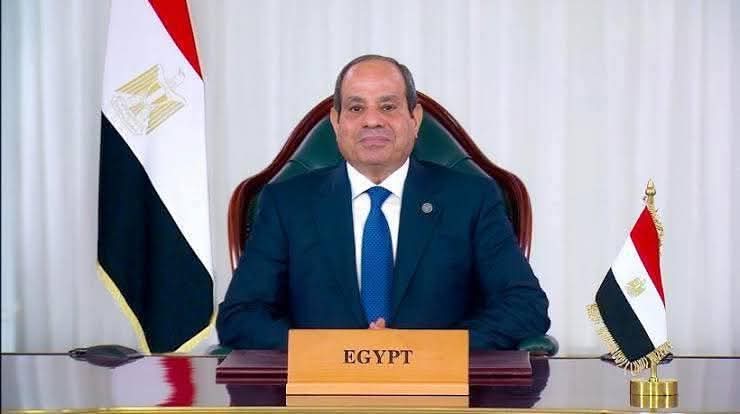 دور مصر تجاه فلسطين ثابت لا يتغير