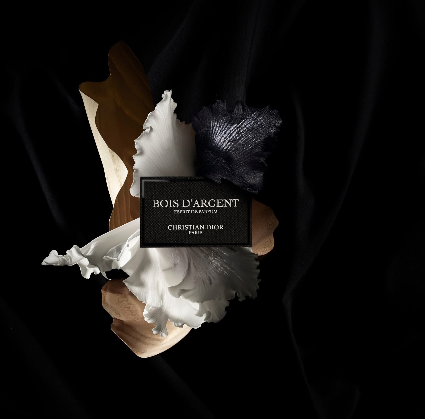 ديور تعيد إطلاق عطر Bois d’Argent في نسخة Esprit de Parfum بلمسة فرانسيس كوركدجيان