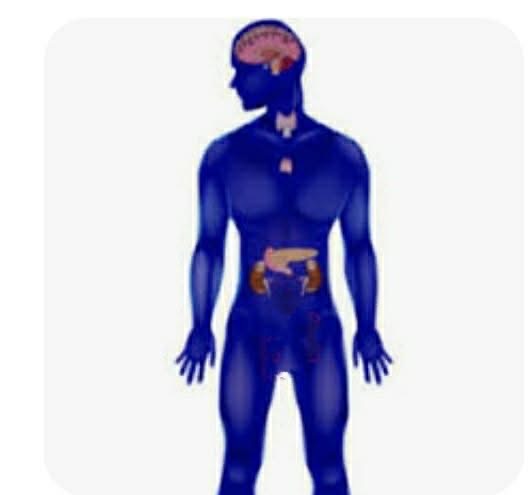 عالم الهرمونات في جسم الإنسان