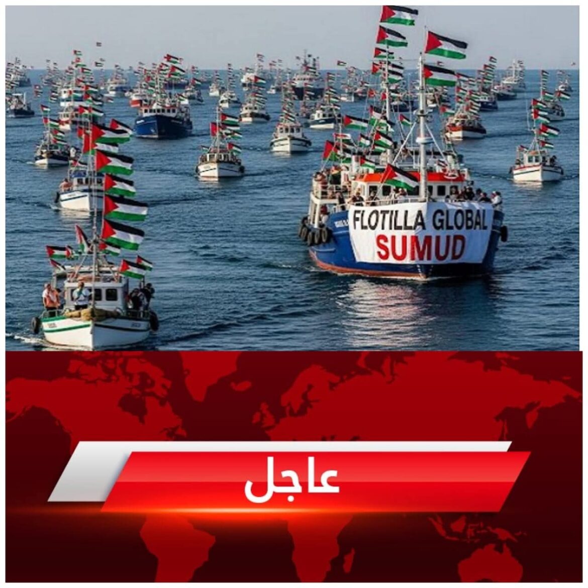 inbound4953724452543255912