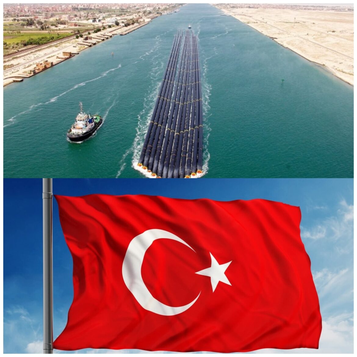 inbound7150883308782053382