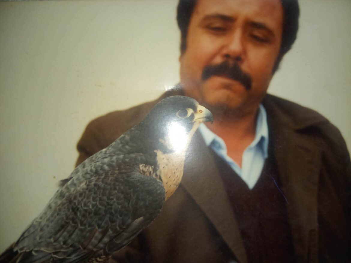 inbound7237578619806355620