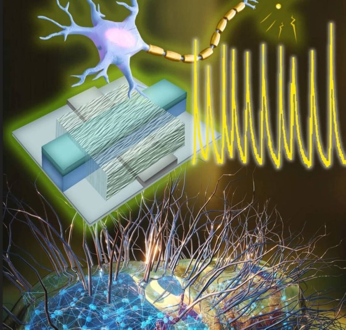 inbound7282254130028424553