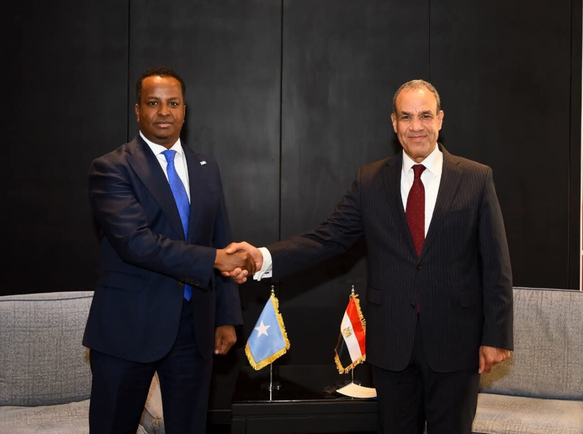 inbound7443610493428978326