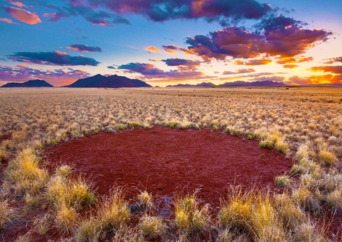 inbound8185073440530644021